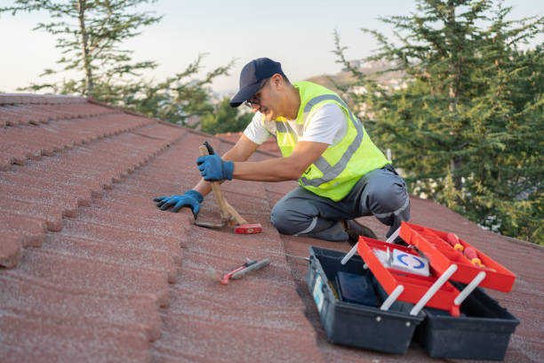 Best Roof Gutter Cleaning  in Svis, IL