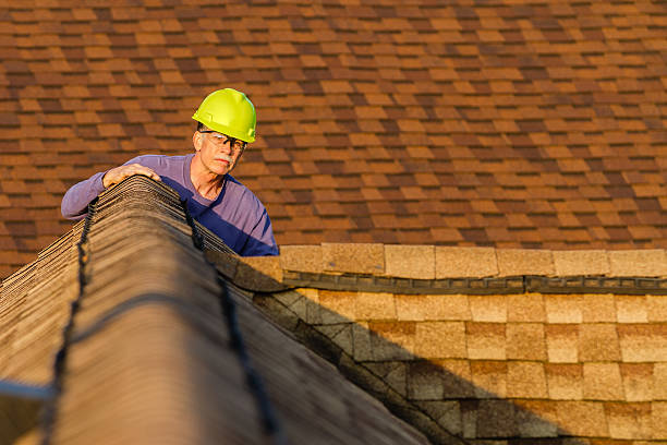 Best Roof Restoration Services  in Svis, IL