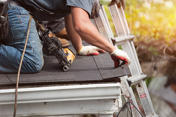 Best Roof Maintenance Services  in Svis, IL