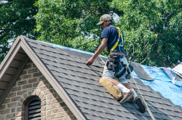 Best Residential Roofing Contractor  in Svis, IL
